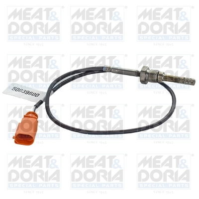 Sensor, exhaust gas temperature